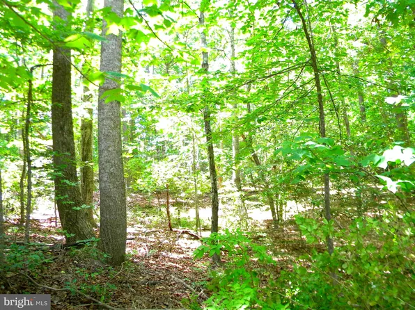 LOT-10A Thunder Rd, King George, VA 22485
