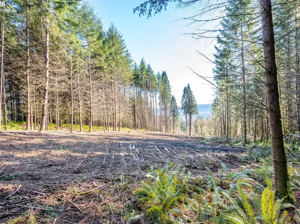 0 Bunker Hill Rd #A, Longview, WA 98632