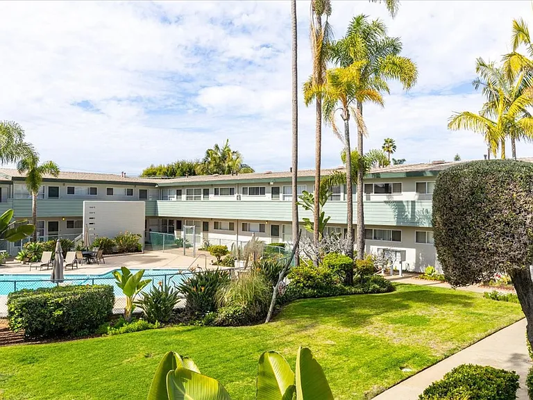 The Palms — Photo 1