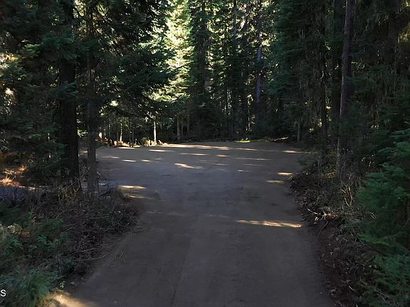 3rd image of PARCEL 1 E Fork Spruce Creek Rd