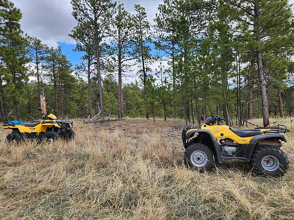 5th image of 55 Two Pipe Trl