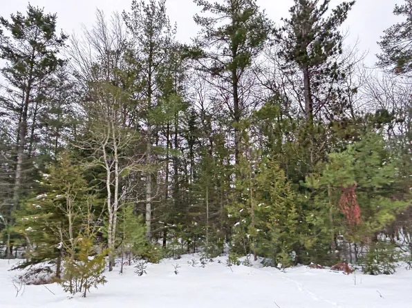 LOT 311 Kauffman Rd, Presque Isle, MI 49777