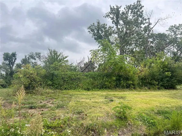 5223-5225 Minerva Ave, Saint Louis, MO 63113