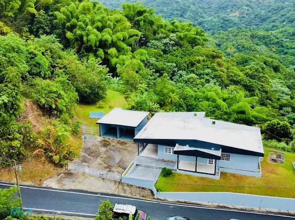 605 Bo Vivi Arriba, Utuado, PR 00641