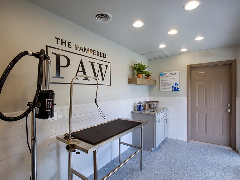 The Pampered Paw pet spa