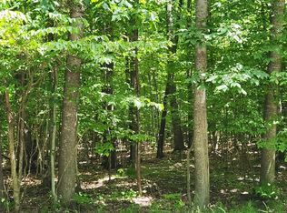 Eagles Nest & Needles Rd, Indian River, MI 49749