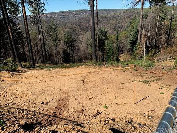 3rd image of 6731 Woodland Dr