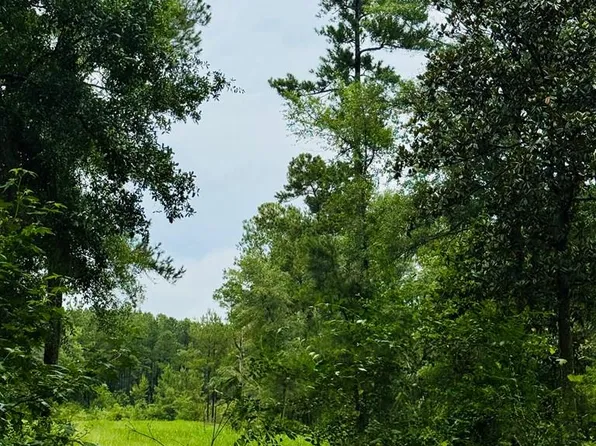 0 Devane Rd, Quitman, GA 31643