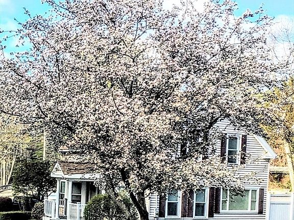 2nd image of 4 Intervale Rd