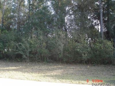 7959 N Golfview Dr, Citrus Springs, FL, 34434