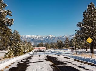 22 Ryder Ct, Pagosa Springs, CO 81147