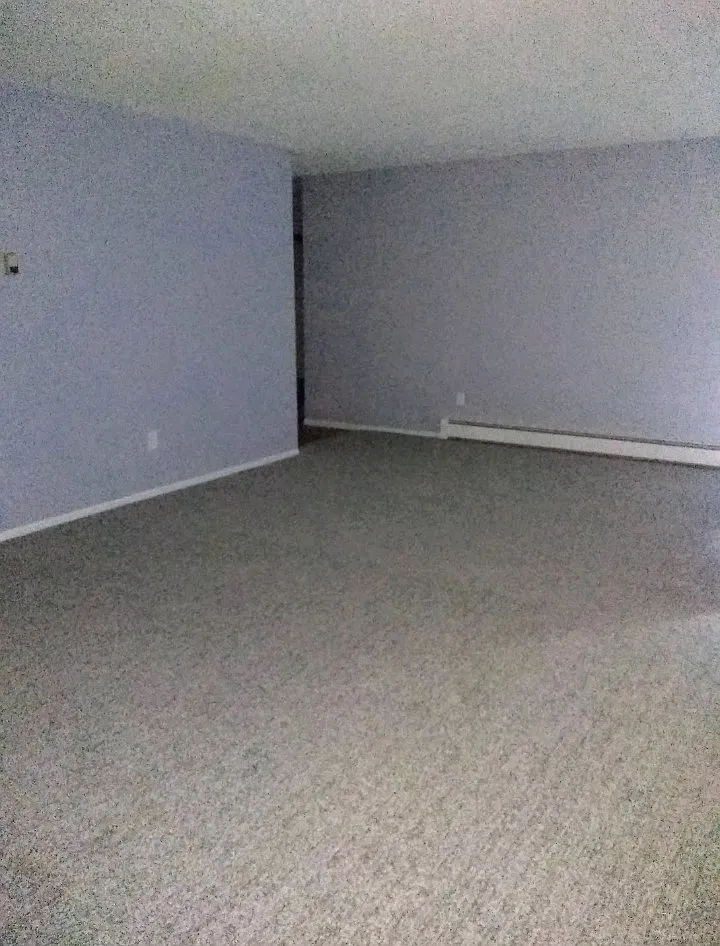 2 bed, 1180 sqft, $1,250 — Photo 4