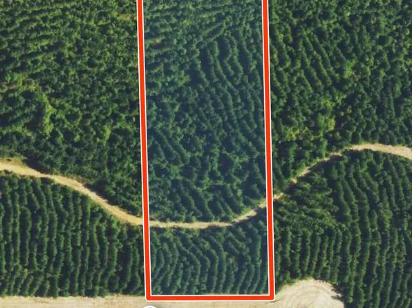 765 Freedom Ridge Ln, Brandon, MS 39047