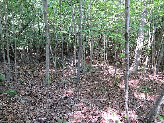 2nd image of 1952 Duffers Ln