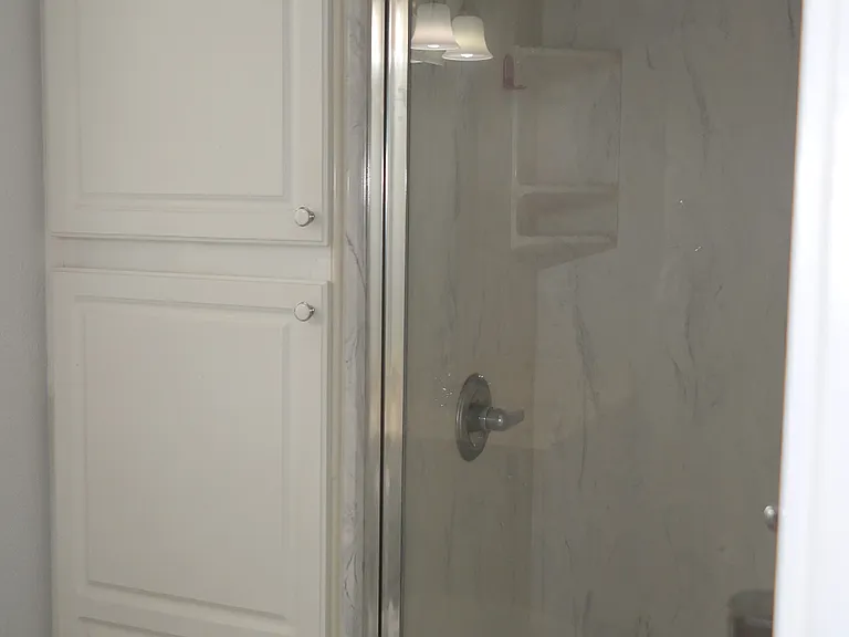Master Bathroom Shower