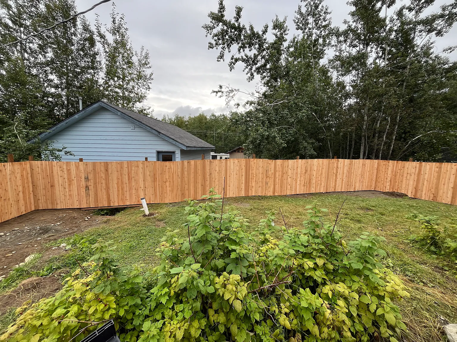 4 bed, 1640 sqft, $3,000 — Photo 2