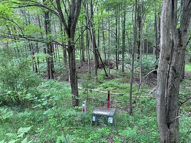 2nd image of 142 Hills Cir