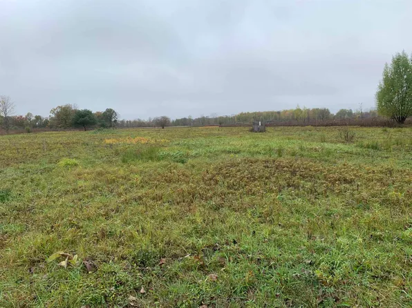 0 Wade Rd, Capac, MI 48014