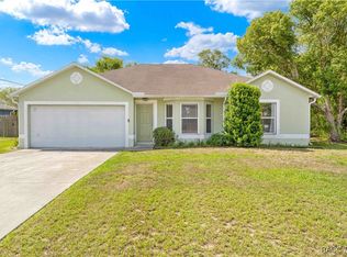 3485 Dothan Ave, Spring Hill, FL 34609