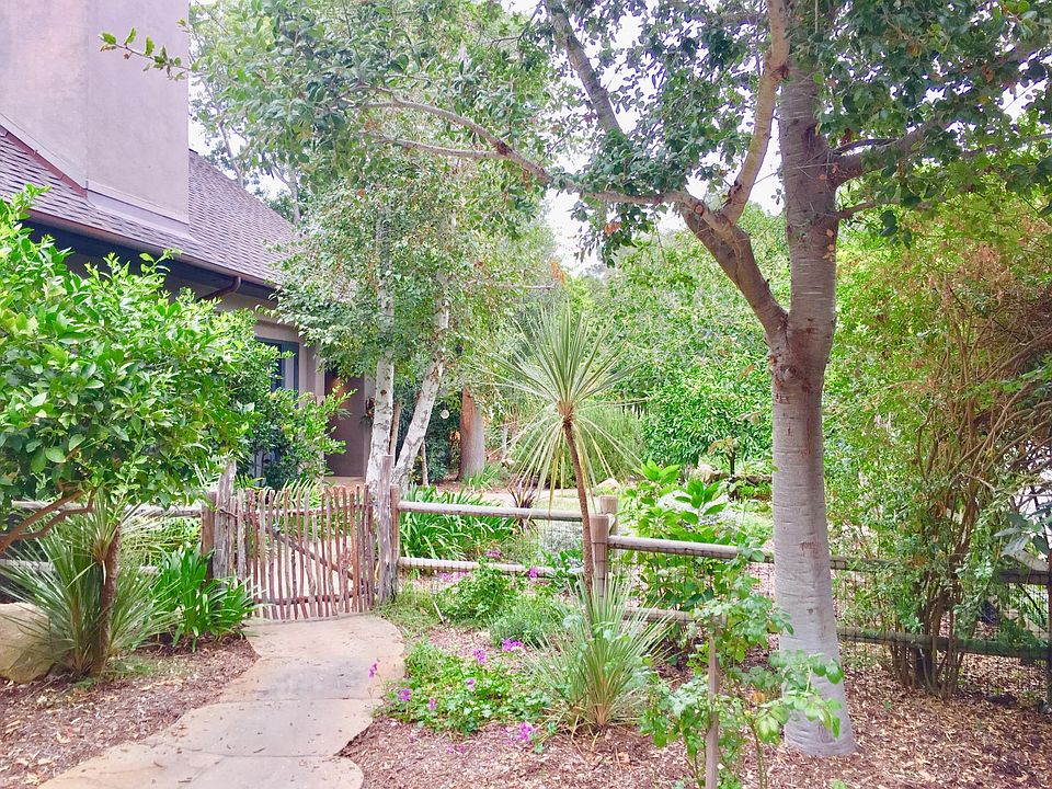 Front yard. View from cobblestone driveway.