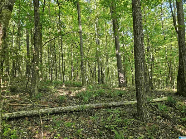 0 Mardis Ln #0, Springville, AL 35146