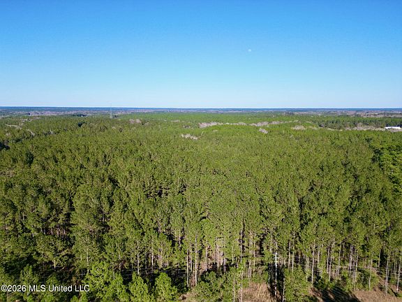 4th image of Gobbler Head Rd