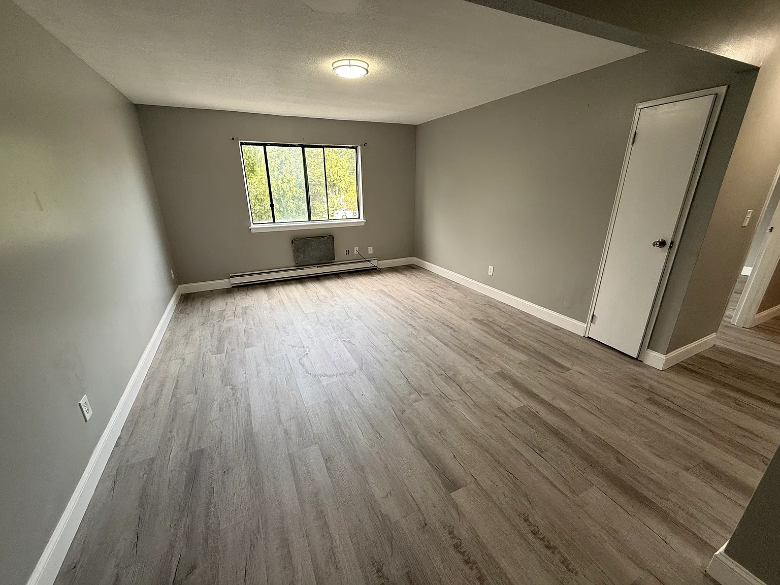 1 bed, 800 sqft, $1,450 — Photo 3