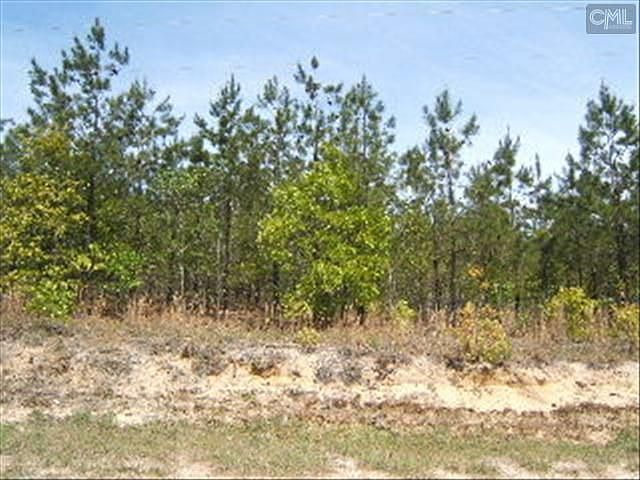 2nd image of 1002 Robinson Town Rd