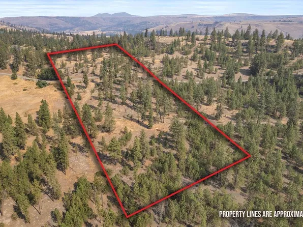 Track H Meadow Ln, Davenport, WA 99122