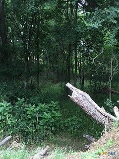 1st image of 920 Mills Way