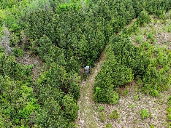 Dji 20260414231148 0796 D