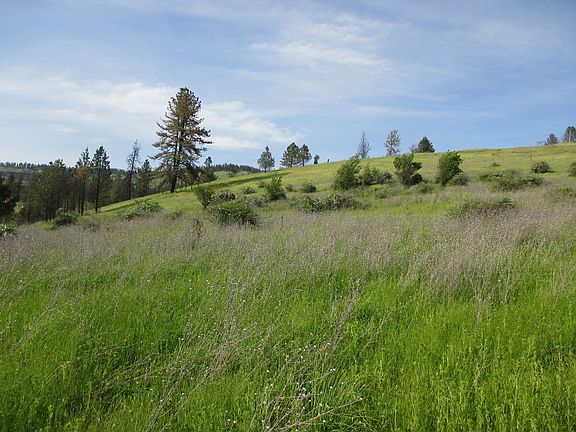 Looking up from lower middle