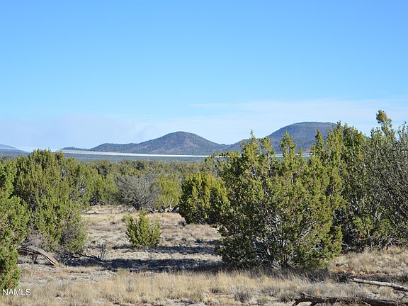 4th image of 444 Mountain Cat Rd