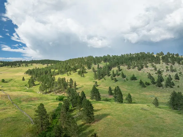 Rr Cobb Rd, Custer, SD 57730