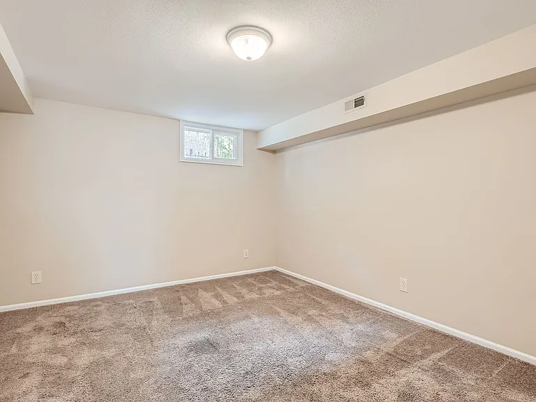 Basement Multi-use room