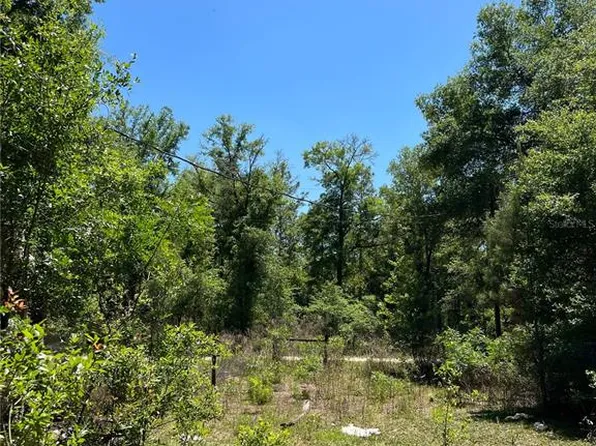 9991 NE 82nd Pl #384, Bronson, FL 32621