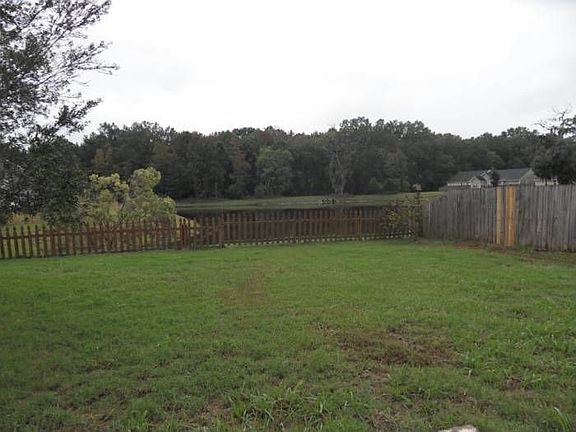 Back yard