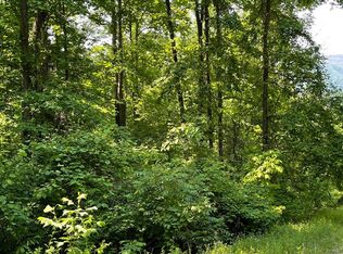 LOT 4 N Ridge Trl, Hayesville, NC 28904