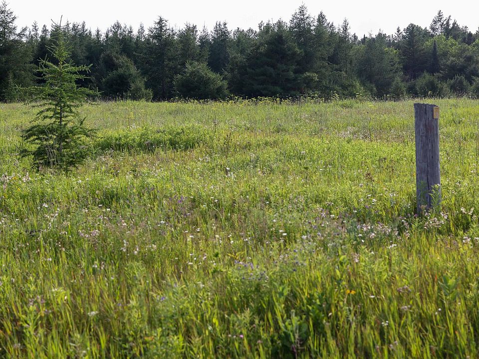 0 Ozark Rd, Moran, MI 49760 Zillow