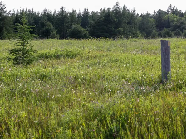 0 Ozark Rd, Moran, MI 49760