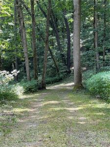 779 Apple Creek Rd #216 & 217, Waynesville, NC, 28786