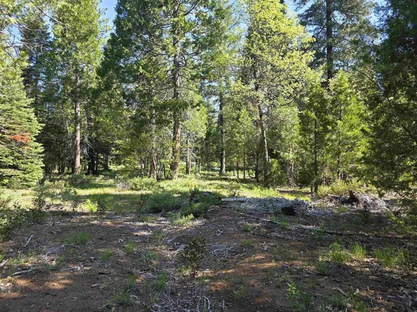 LOT 69 Old Mill Dr, McCloud, CA 96057
