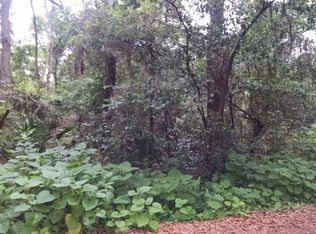 8003 Alafia Ridge Rd, Riverview, FL 33569