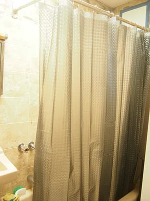 Rented by Evergreen Realty & Investments | media 25