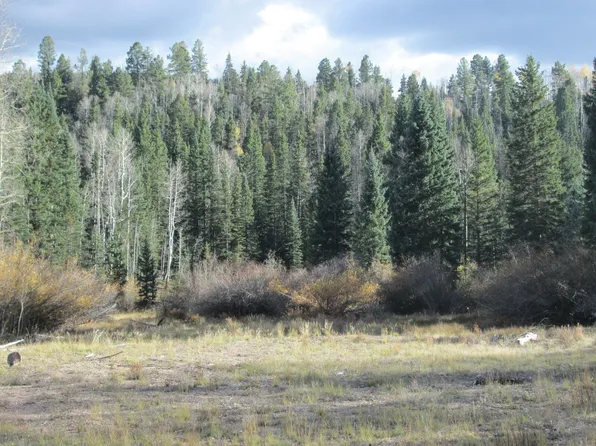 6683-6684 Sangre De Cristo Rnch, Fort Garland, CO 81133