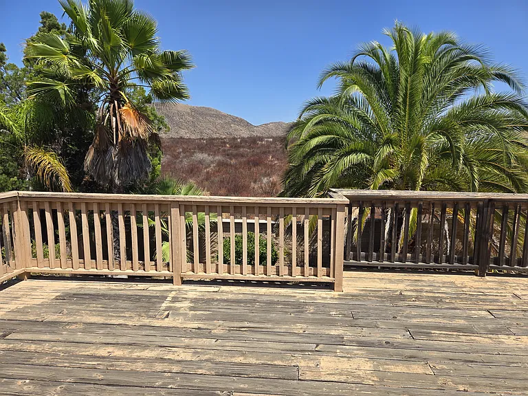 29270 Wrangler Dr — Photo 46