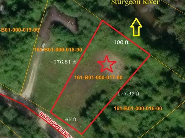 4229 Rainbow End Trl, Indian River, MI 49749