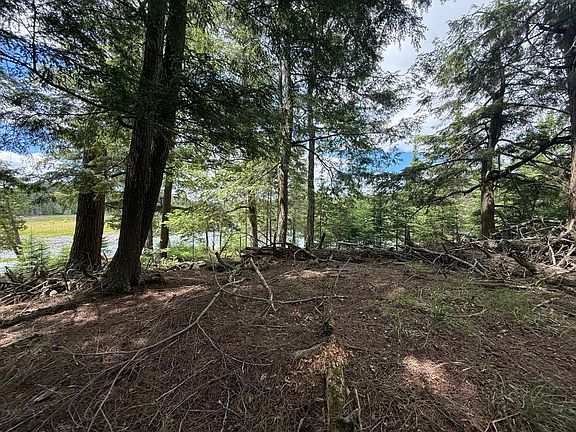 4th image of Scout Island Rd