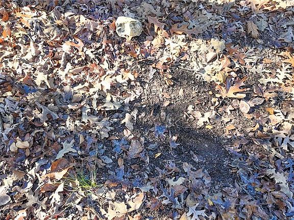 4th image of 0 SE 1151st Rd