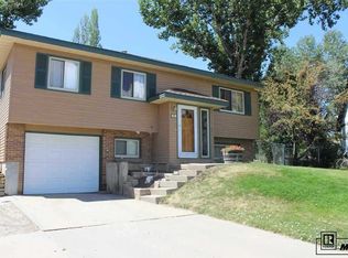 415 Meadowbrook Ct, Hayden, CO 81639